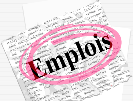 emploi handicap formation diversité